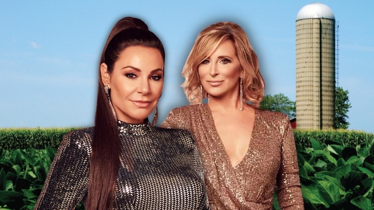 Luann de Lesseps, Sonja Morgan, RHONY Spinoff show, Real Housewives of New York City spinoff, RHONY Legacy, RHONY spinoff, Luann and Sonja RHONY spinoff